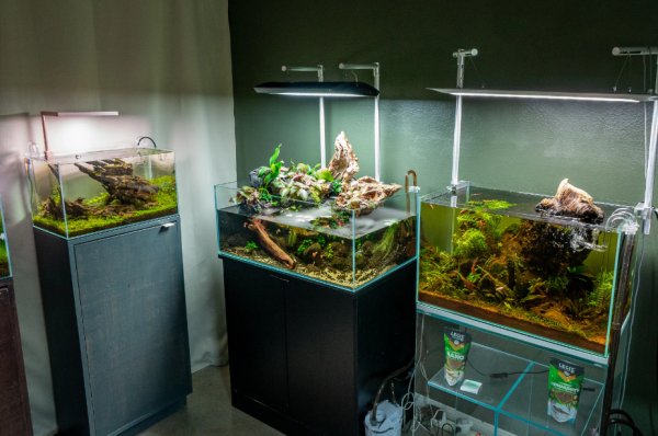 Aquarium modern dan canggih dengan desain nano aquarium